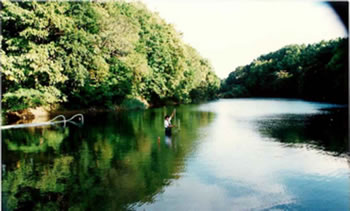 環境の修復（環境土木）～河川・湖沼の浄化～