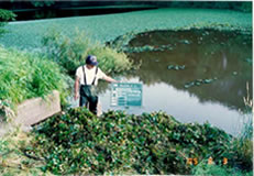 自然浄化を人為的に促進させる独自工法を提案、実施。一部の水草を除去。