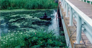 窒素分の偏りを沼水の循環によって、バクテリアの繁殖を利用した工法を提案、実施。