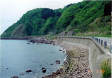 各種の閉塞をPCS特殊工法で除去。