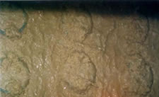 汚泥濃度が非常に高い状態でも稼働している。