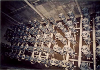 生物処理（多数の微生物による排水処理）